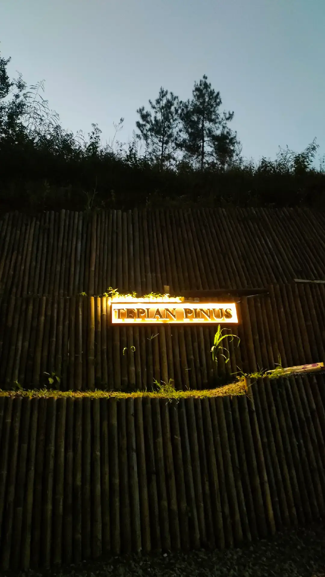 MasyaAllah tabarakallah ✨  Glamping Tepian Pinus Pinggir Sungai menawarkan pengalaman menginap nyaman di tenda dengan pemandangan alam yang asri. Dikelilingi hutan pinus dan suara gemericik sungai, tempat ini cocok untuk relaksasi dengan fasilitas modern di tengah alam. Suasana tenang dan udara segar membuatnya ideal untuk liburan singkat. #glamping #tepianpinus #pangalengan #bandung 