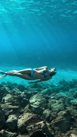 We found the ugliest shell! 