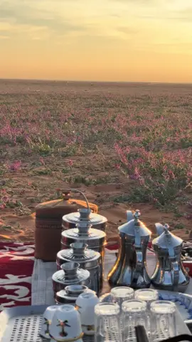 قهوه☕️#اكسبلور #ساموده #explore #الحدود_الشماليه #لينه #ساموده #كشتة #لاندكروزر #اكسبلورexplore #explore 