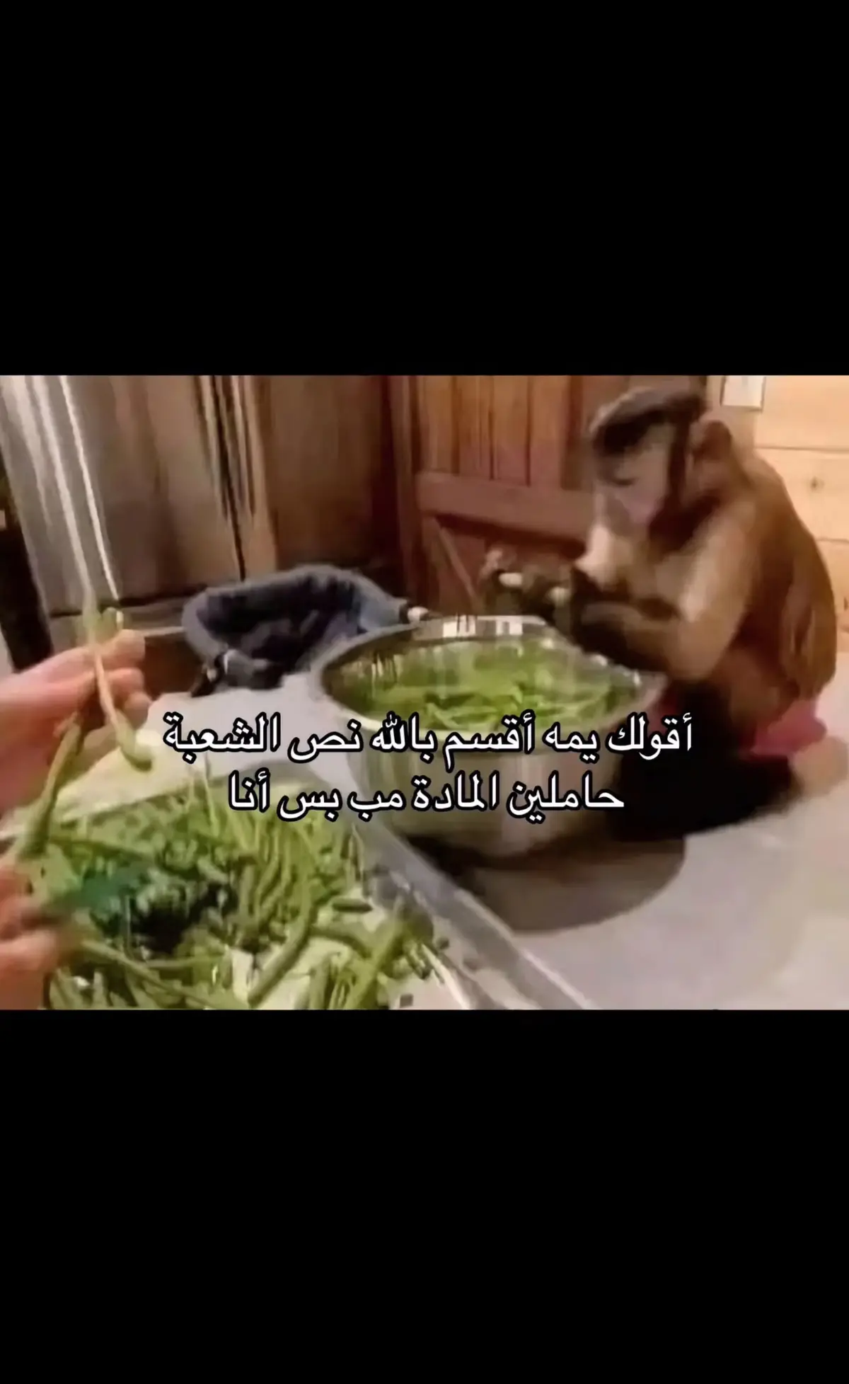 #pov #مالي_خلق_احط_هاشتاقات #pfypシ #اكسبلور #الشعب_الصيني_ماله_حل😂😂🏃🏻‍♀️ #foryou #الشعب_الصيني_ماله_حل😂😂🏃🏻‍♀️ #pppppppppppppppp #povs #explore #ex 