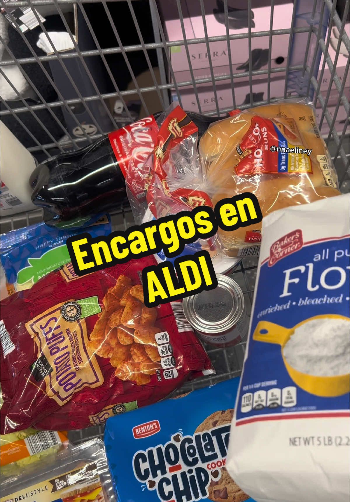 Encargos en ALDI 🛒🏃🏻‍♀️ #aldifinds #fyp #boricua #puertorico #aldi #groceriesinminutes #groceries #supermercado #aldiusa #shopping #food #encargos #voiceover #alditiktok #comprandoenestadosunidos #comprando #boricua🇵🇷fypシ #parati #nnaeliney #puertorican #aprendeconmigo #foodtiktok #trending #fypシ #creadoresdecontenido #haul #virał #aldifindsoftheweek @ALDI USA 