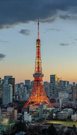 東京タワー🗼 #japantravel #japantour #東京タワー #タイムラプス 