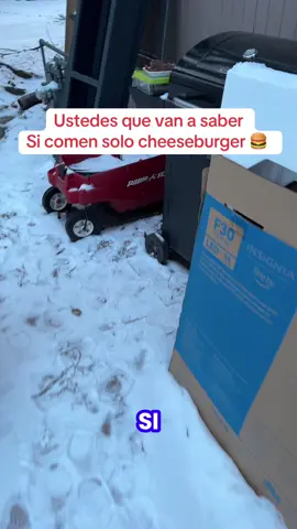 Zapatos, tenis para el trabajo, tenis con casquillo, zapatos para la construcción, regalos, navidad, Christmas #lovelanguage #seasonalgems #tiktokshopcybermonday #tiktokshopblackfriday #tiktokshop #tiktokmademebuyit #fyp #newyear #navidad #regalos #parati  #tiktokshopjumpstartsale #fashionlookbook #tiktokshoploveatfirstfind 