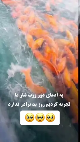 #viralvideo #foryoupage #ویدیوهای #اموزشی🍁 #مفید #🇦🇫🇺🇸❤️❤️❤️🥀 