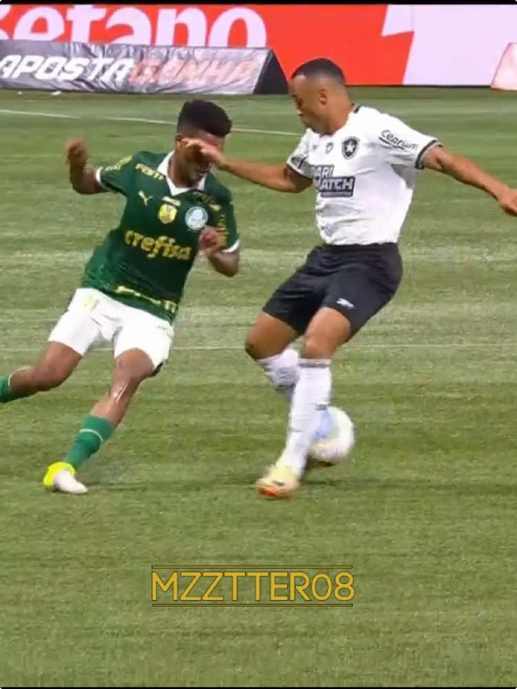 Estevão 🙅‍♂️☠️ #estevaoferreira #chelsea #palmeiras #skills #fouryou 