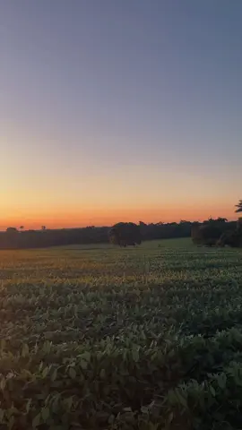 To belong is the weight of solitude unraveling,   The stillness of silence blooming into a quiet hymn;   It is the unseen thread weaving the scattered,   Drawing the distant into the warmth of wholeness.  𖤣𖧧༄☼