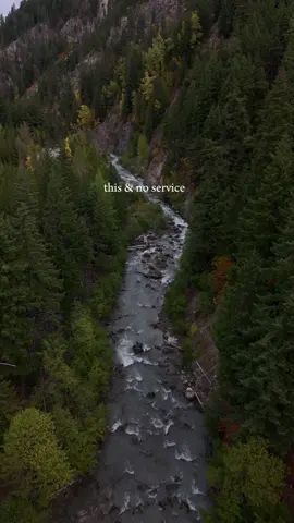 The best weekends are those without cell service 🏔️🌲🪵 There’s really nothing better than finding a secluded spot in the woods where we can let our dogs run around freely, spend our evenings cooking our meals and sitting around the campfire with no distractions and exploring the beautiful area around us.  Bonus points if there’s a good view or river access!  #campingvibes #chasingwaterfalls #pnwonderland #pnwlife #oregonexplored #campervan #campinglife 