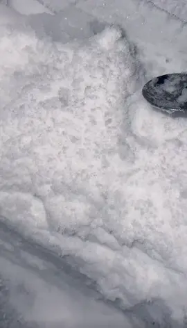 freezer frost ice . #1heartice #2heartice #ice #iceeating #iceeatingasmr #iceeatingvideos #iceeatingsound #asmr #fyp #viralvideo #whiteice #whiteiceeating #whiteiceasmr #freezerfrost #freezerfrosticeeating #freezerfrostasmr #softice #crunchyice 