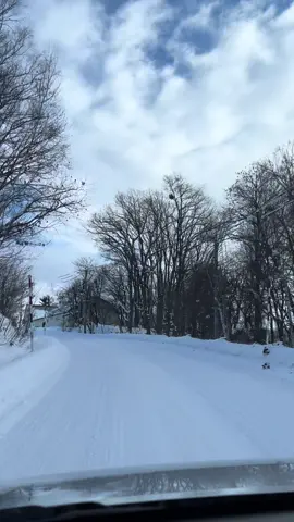 Snowy roads, peaceful vibes ❄️ Driving in winter is priceless. 🚗✨  #WinterVibes #SnowDrive #hokkaido #japan 