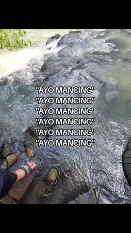 @adll inponee#fyp #4upage #mancing #moots? 