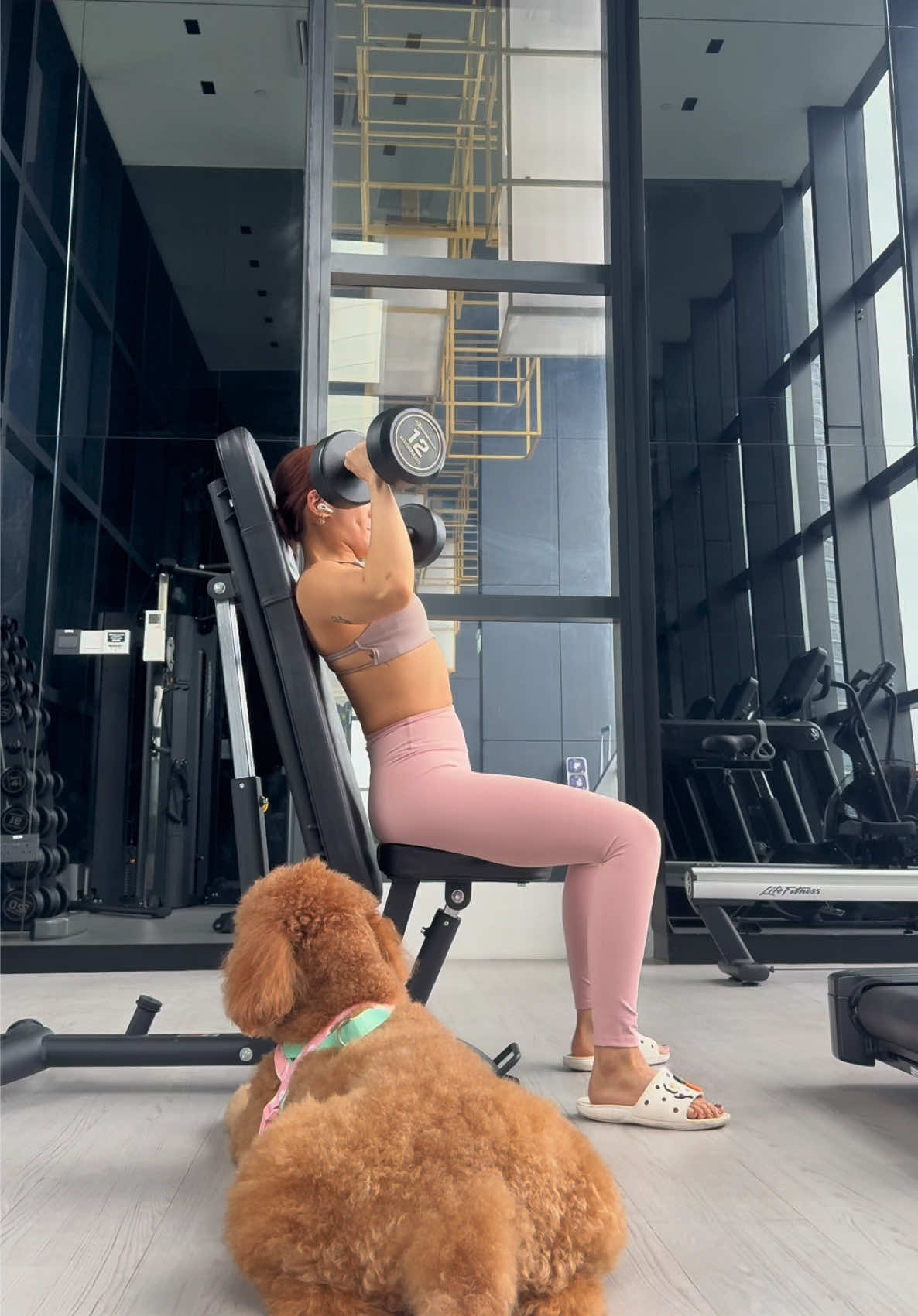 they say that your pets choose you, and that they come into your life just exactly as when you need them, and that’s so true, taro came into my life just 2 months before my burn accident, and she’s been my confidant through every hardship ever since and we’ve grown together ❤️ #calisthenics #goldendoodle #dogsoftiktok #burnsurvivor 