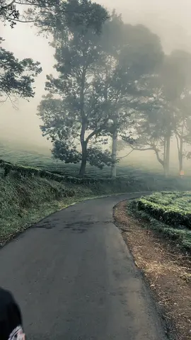 random #healing #pagaralam #fyp 
