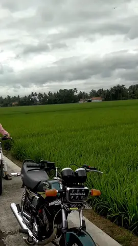 #rxking135cc #rxking #lewatberanda #fyppppppppppppppppppppppp #masukfyp #fypage #foyupage 