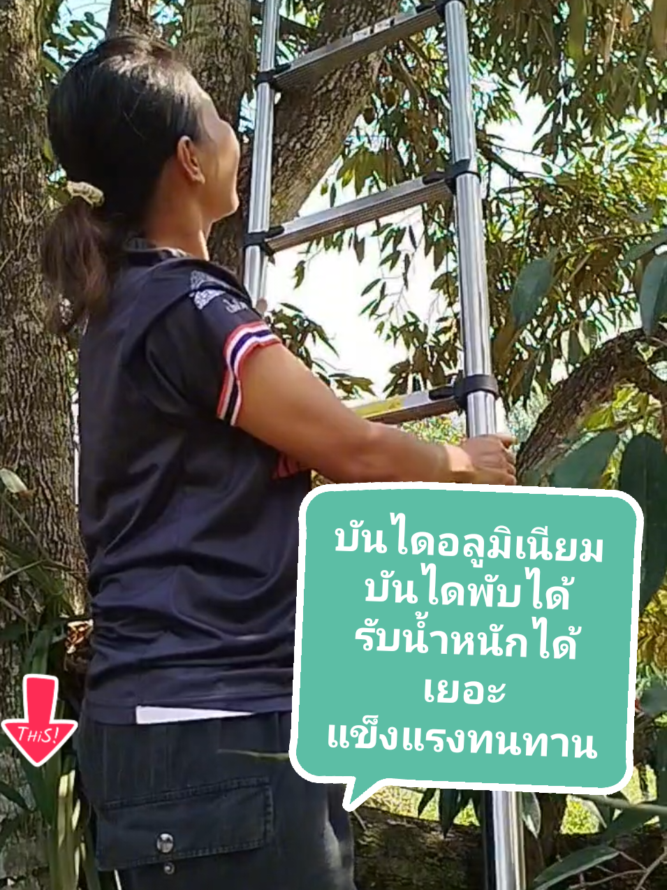 #บันได #บันไดพับได้ #บันไดอเนกประสงค์ #บันไดอลูมิเนียม #รีวิว #รีวิวของดีบอกต่อ #อีสาวทำสวน 