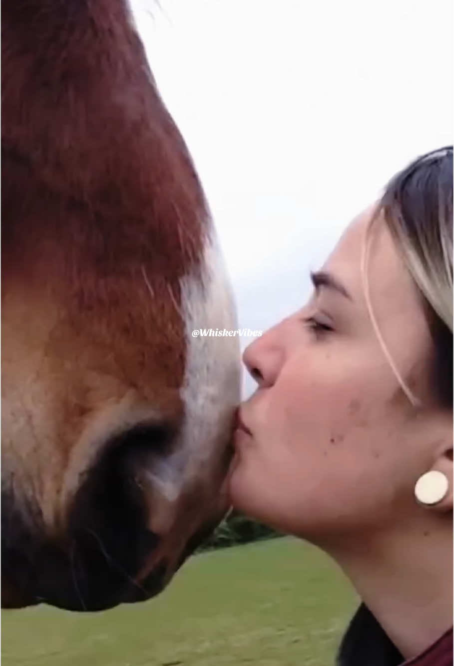 Funny horse 🤣🤣🤣#cute #funny #fyp #funnyvideos 