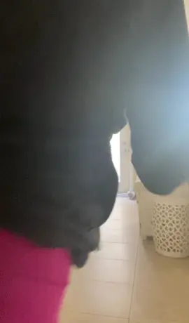 Well THAT was a loooong frikkin week! 😳 Because, I STILL CAN, I DANCE!! I am STILL HERE! I will NOT give up! And, YOU shouldn’t either! ✨💪🏽✨ #FridayFeeling #Resist #Friday #dance #StrongerTogether  #celiacruz #Rebelion