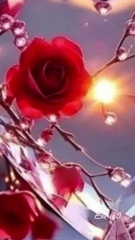 #доброеутро #доброе #утро  #gutenmorgen #gutelaune #русскиенемцы #перевод #открытка #простойрецепт #всемдобра #просмотр #длятебя #вэтотдень #длявас  #настроение #попробуй #врекомендации  #@elena #музыка #класс #тебе #пусть #будет #так #есть #улыбнись  #прекрасногонастроения  #хорошегонастроения  #тиктокиграет #всемдобра #@VASILY 🇰🇿 MY MUSIC 🎶🎧 