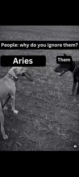 Do not underestimate us. 😊 #storytime #status #Aries #zodiac #zodiacsigns #♈ #🔥 #motivation #foryourpage #foryoupage❤️❤️ #fypage #fyppppppppppppppppppppppp #fypシ゚ #fypp 