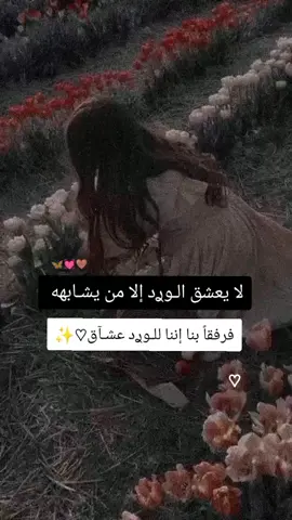 #تصميمي❤️❤️  #عبارات_جميلة🦋💙    