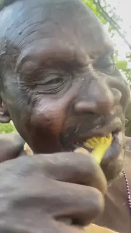 Hadzabe Tribe bushmen use these ancient ways to brush and keep their teeth clean in their traditional lifestyle in the nature, they have preserved their ways of living for thousands of years
