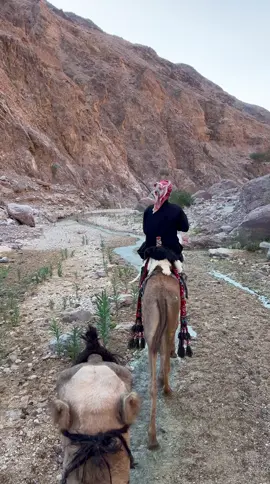 نشارك🤣#اكسبلورexplore #اكسبلور #الاردن🇯🇴 