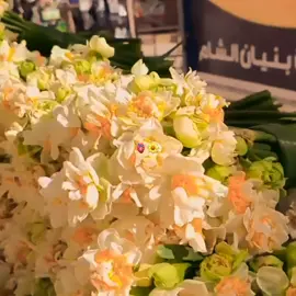 ورد نرجس إدلب 🫀🌼#تصويري #لايك__explore___ #الشعب_المدرسي_ماله_حل😂😂 #اللهم_صلي_على_نبينا_محمد #funny #fyp #alqurankarim #greenscreen #keşfetteyizzz