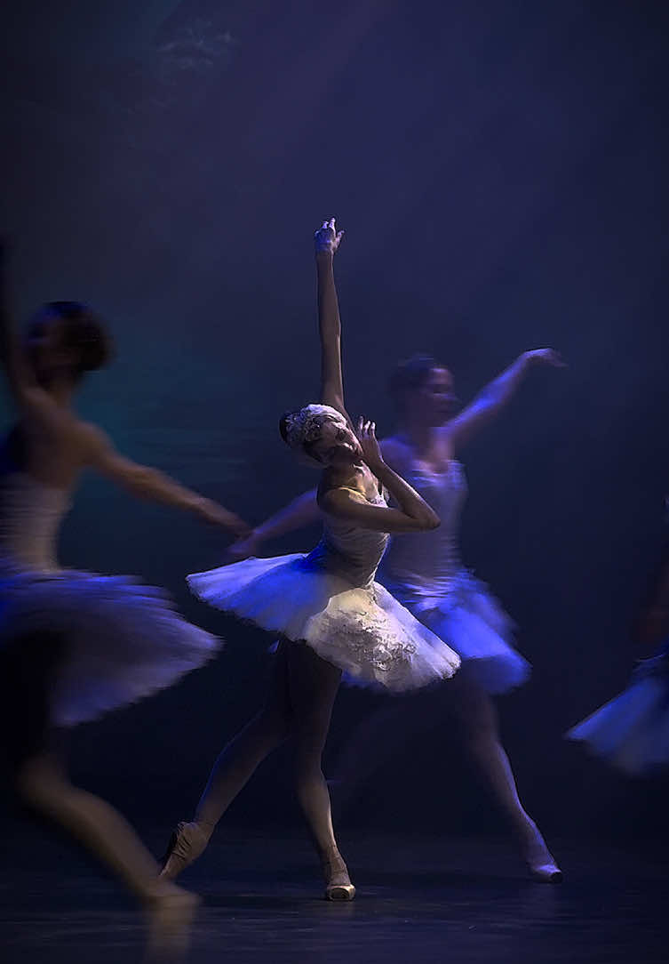 🦢🖤 #fyp #swanlake 
