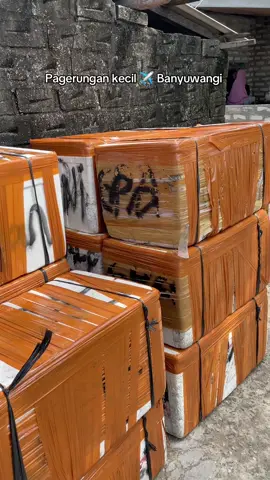 🔥 #Bali #banyuwangi #ikansegar #jualbeli #pengusahamuda #pengusaha #anakmudasukses 