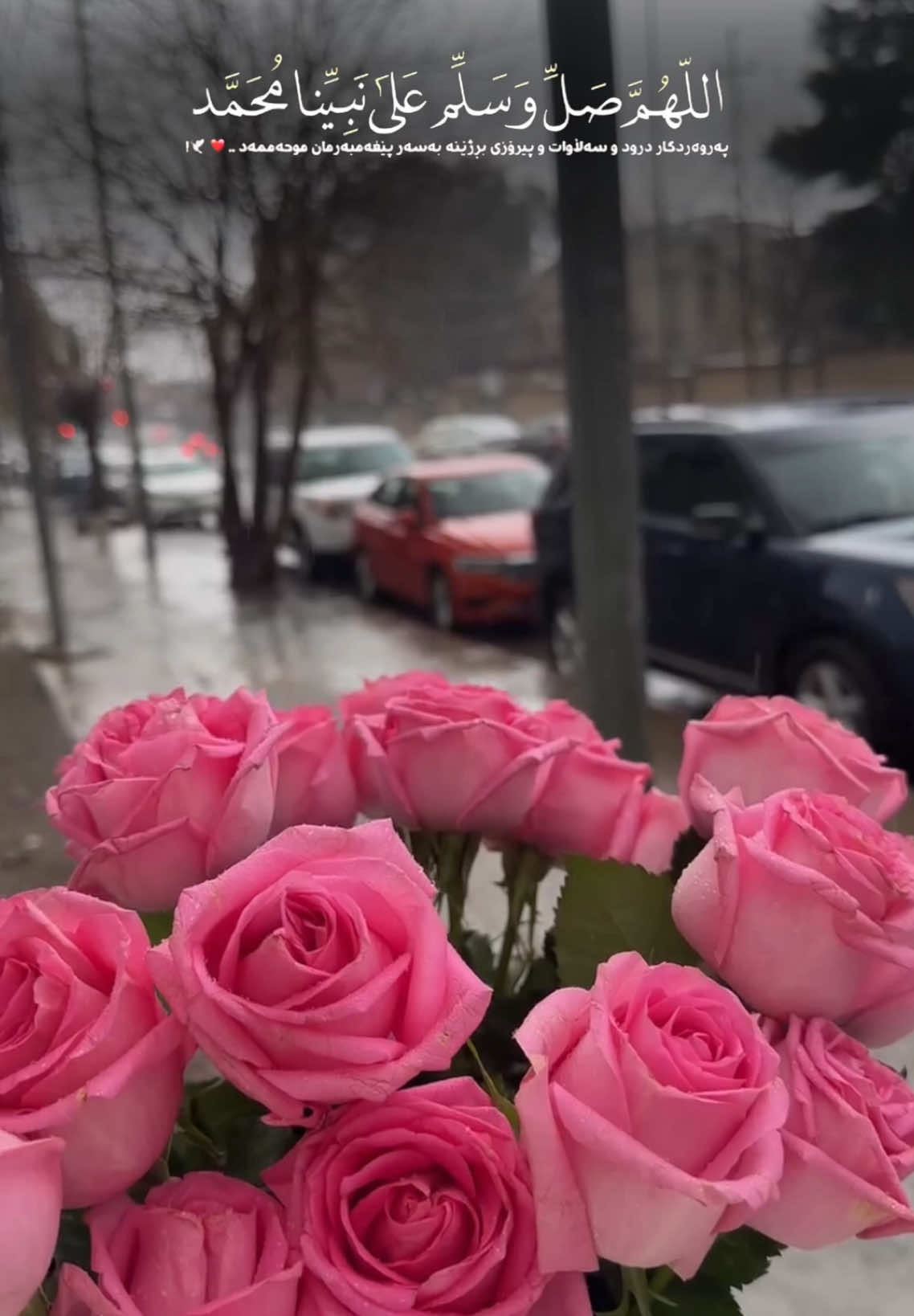 سەڵاوات لەبیرمەکەن بۆ خۆشەویستمان🩷🌿#run4ky #اللهم_صل_وسلم_على_نبينا_محمد 