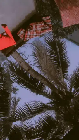 ইনশাআল্লাহ_যাবে_foryou_তে।🙂❤️ #🥱🥱🥀🥀🧡🥀🥀🖤🥀🥀🥀🥀 🫣🧡💛🖤🫣🤫❤️🤟🤟 