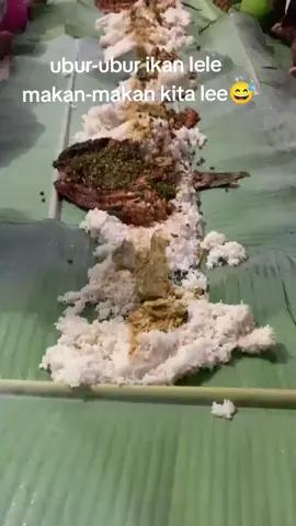#ubur -ubur ikan lele salam kenal Lee😁#fypシ゚viral #nnb #berandatiktok 