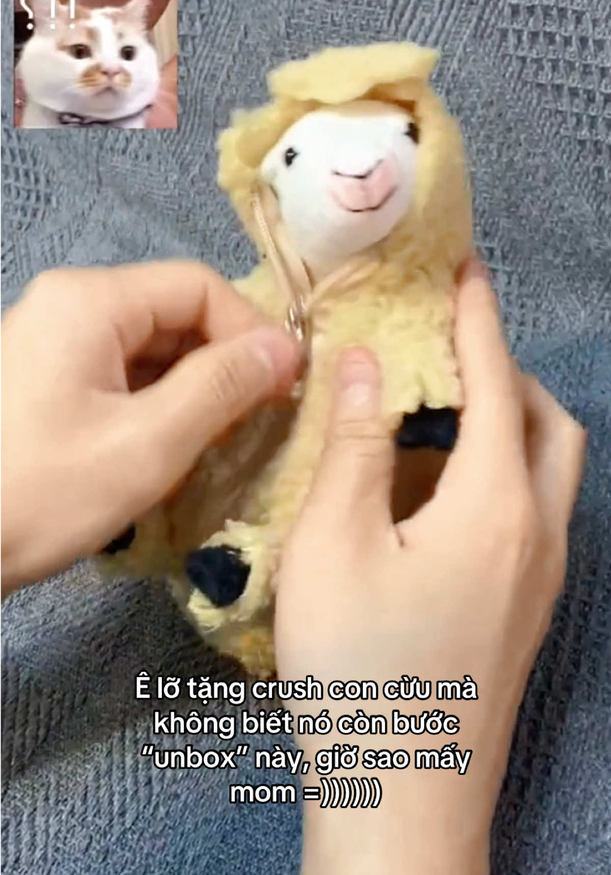 Tụk tụk sao á cha 🤡 #xuhuong #fyp #xuhuongtiktok #xh #trending #funny #haihuoc #foryou #fypシ #foryoupage #viral 