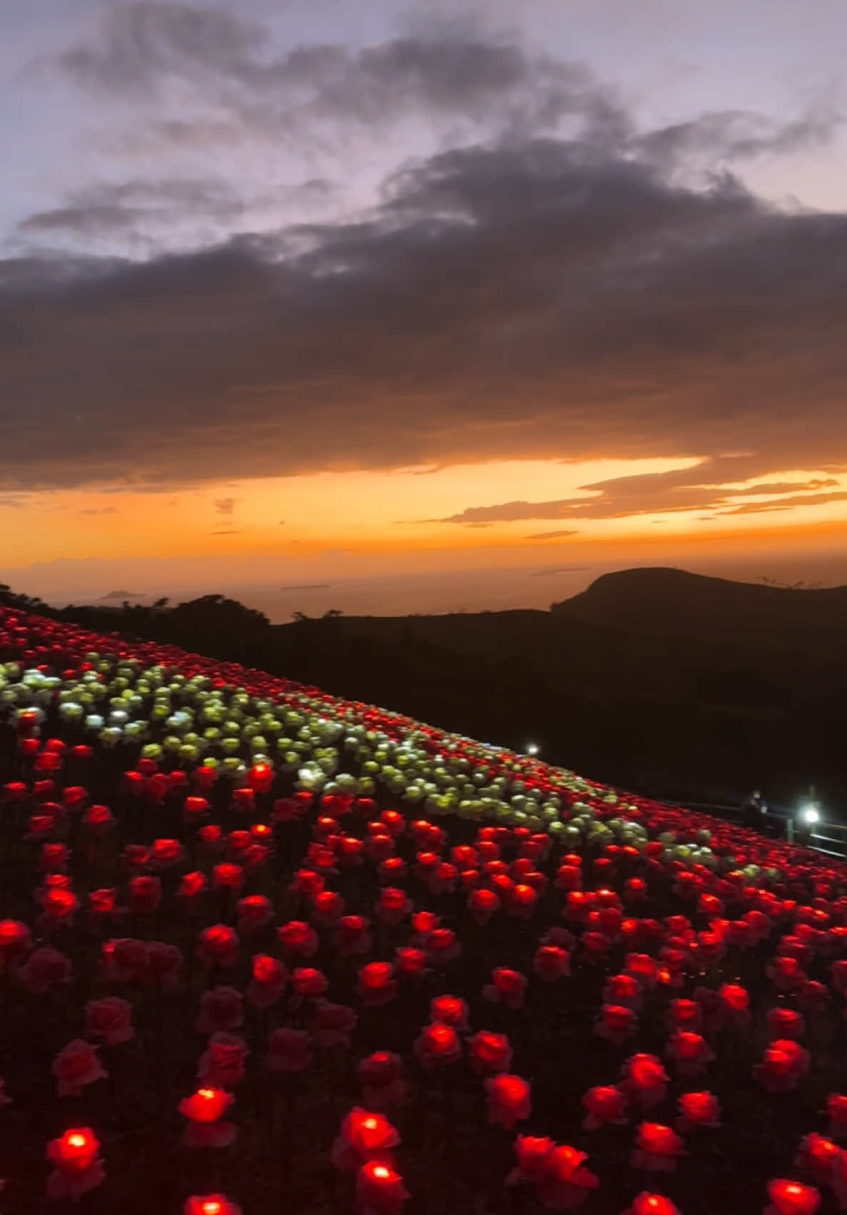Lintaon Peak, Baybay Leyte 🌹