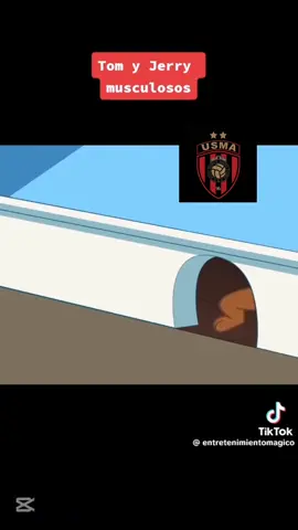 مولودية حب و عقلية تبقى في قلب #MCA 3  0 USMA# #mouloudia_1921❤💚 #MCA#fyppp#مشاهدات_تيك_توك#CapCut#شعب_الصيني_ماله_حل😂😂#fybシ#mouloudia_virage_sud🇮🇹🙏#fotball #fyp#fyb#