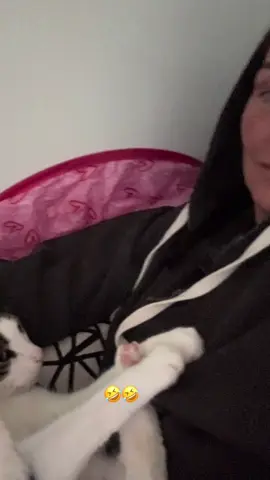 #tommy_derkater #cats #catsoftiktok #catslovers #catsvideo #catstagram #catsmoves #cat #katze #katzen #katzenvideos #katzenliebe #katzenauftiktok #funnycats #funny #funnyvideo #funnymoments #funnytiktok #fy #fypシ #fypシ゚viral #fypage #fyppppppppppppppppppppppp #vira #viralvideo #viralvideo #viraltiktok #virall #viral_video #viralvideosofficial  #ideen #instergram #booster #fürDich 