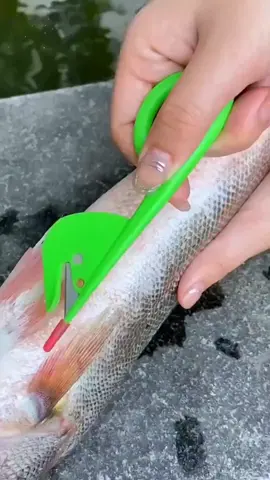 #It's easier to use than chopsticks and scissors. Whether it's chicken intestines or duck intestines, the fish yellow eel is easy to use. Don't worry about scratches. If you like it, come to my window to buy it!