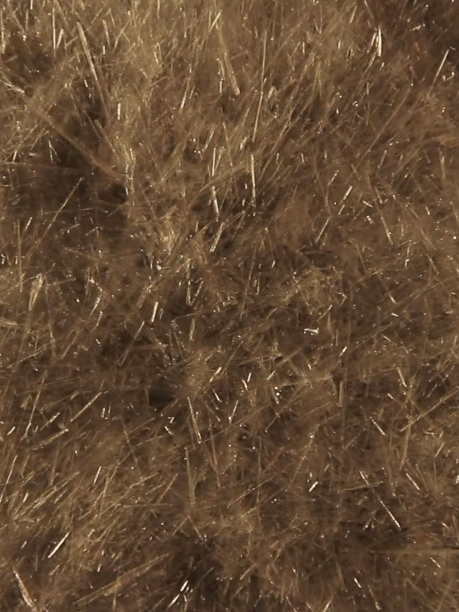 Crystallization is a process where a solid forms with a structured, repeating arrangement of atoms or molecules. It occurs when a solution becomes supersaturated or when a molten substance cools. Crystals grow by adding particles to their structure, influenced by temperature, concentration, and impurities. This method is widely used in purification, chemical manufacturing, and material science. #crystals #timelapse #deshrine