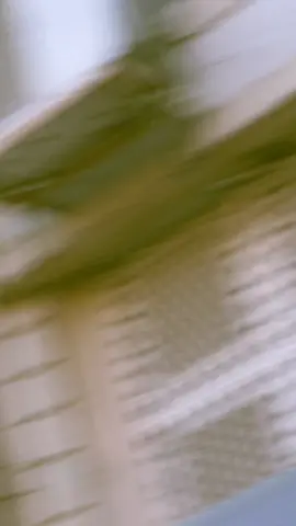 Tujh ko pyaar ho jayy✨♥️👀#plzunfreezemyaccount🙏🏻🙏🏻🙏🏻 #viral________video♥️😣😩😣 #viral________video♥️😣😩😣 #repostkroyar✨🤧 #plzunfreezemyaccount🙏🏻🙏🏻🙏🏻 #foryoupageofficiall❤️❤️tiktok #Accountunfreezkroyar #followthisaccount🤩 #followthisaccount🤩 