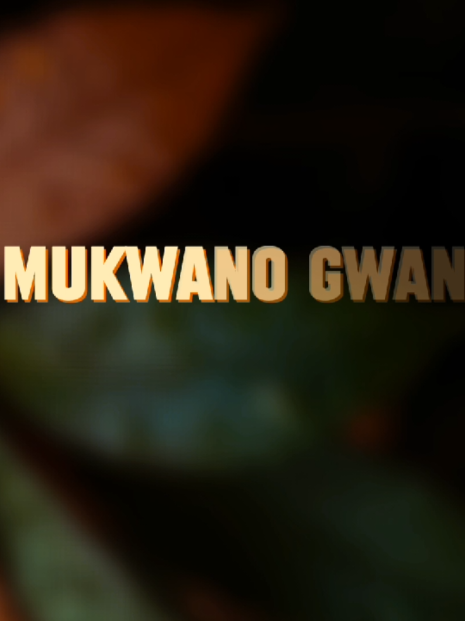 Twalina omukwano - Juliana kanyomozi #faimlyrics🎶🖊️ #fyp #goviral #tik_tok 