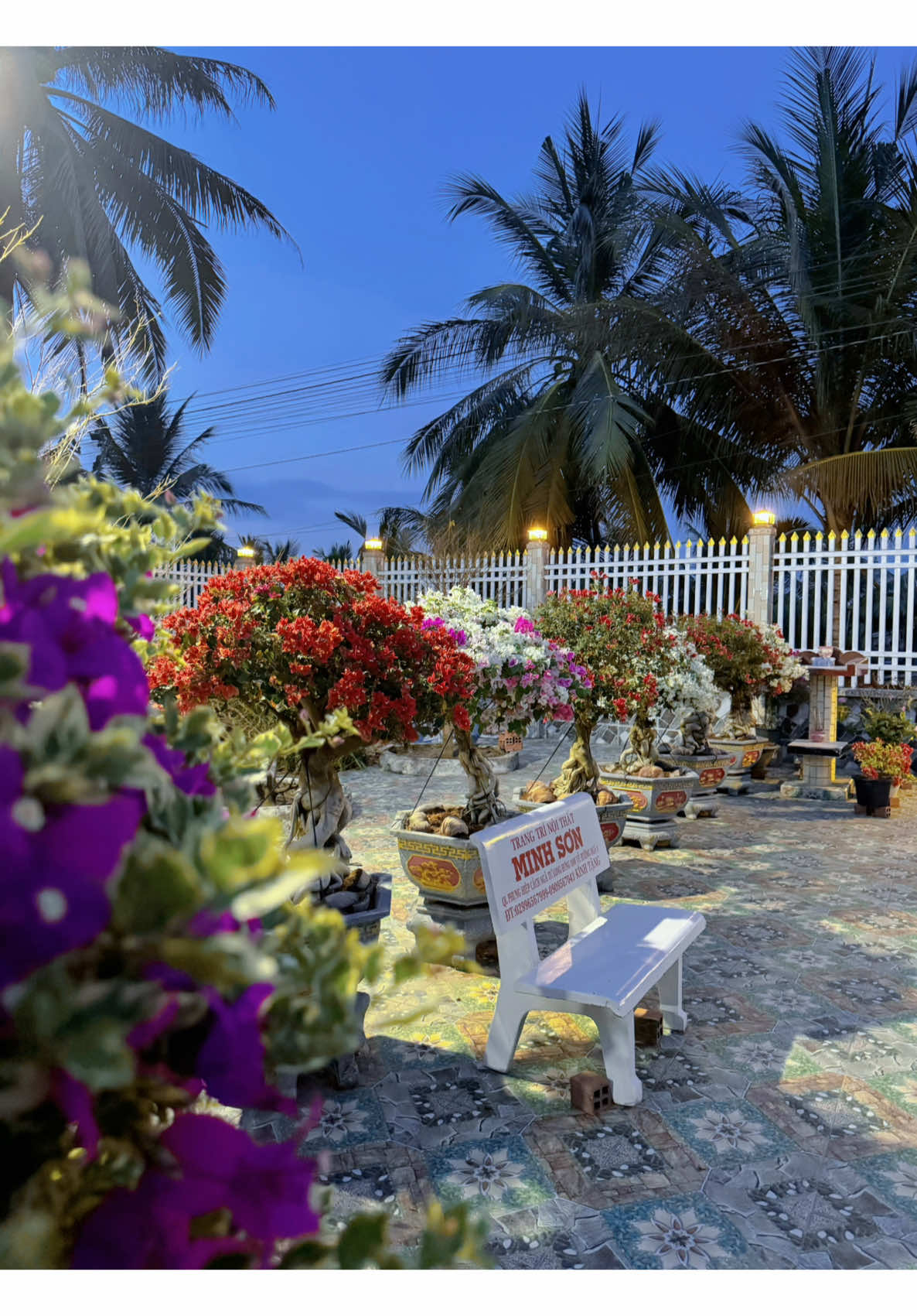 Xuân năm nay anh có muốn về miền Tây ăn Tết dí em hong🤗 #xuhuong 