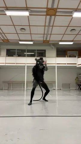 This rat is a big fan of Toledo company  @TOLEDOCOMPANY_  Choreo: @Emilio.Araya @Cynthia Toledo 