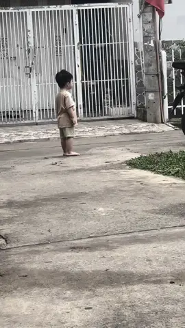 Dính bẫy rồi anh Bảy Beo #dinhbay #beoli #vica