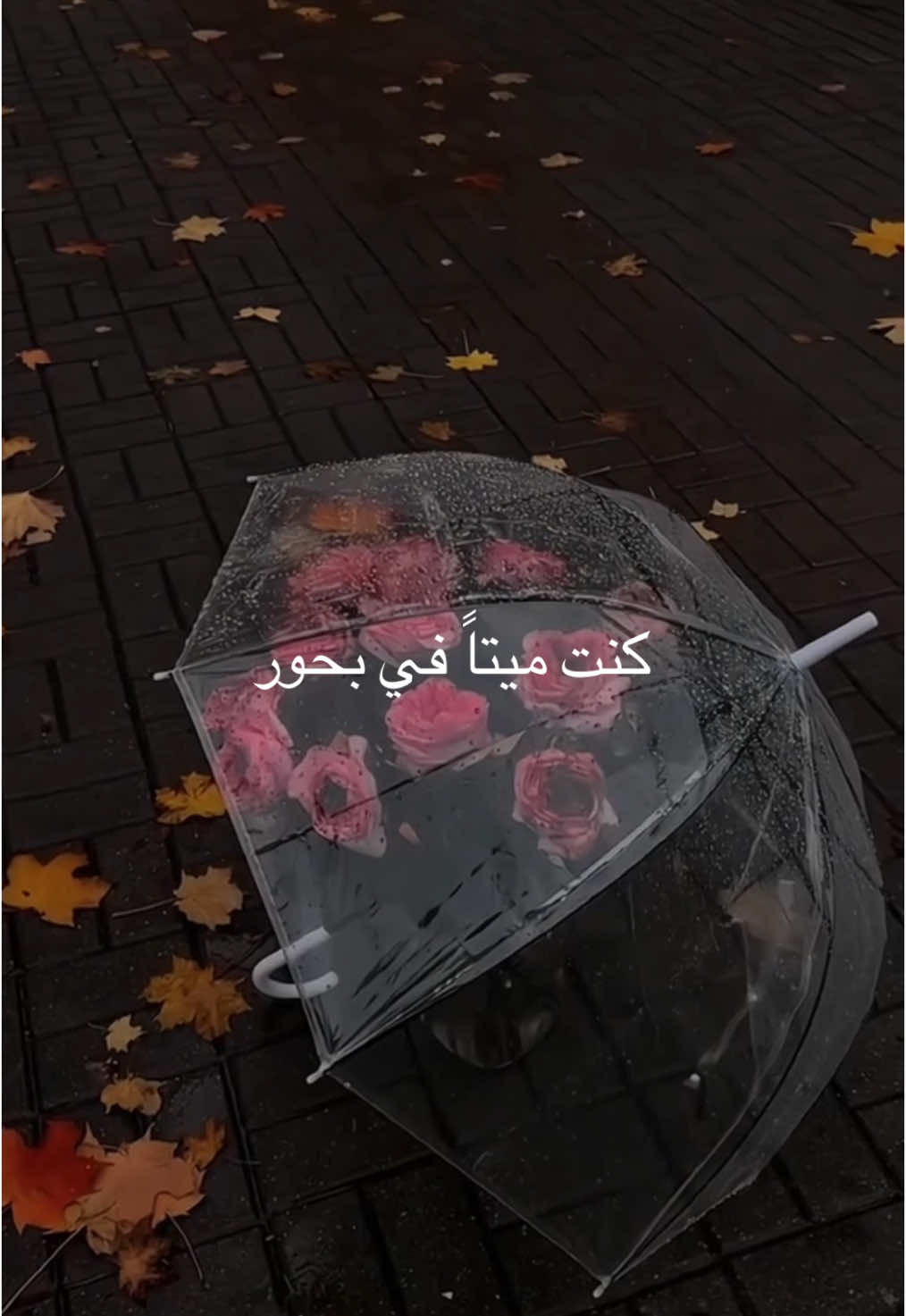 Kuntu maitan 🥰 #nasheed #Muhammad #viralvideo #fypシ゚ 