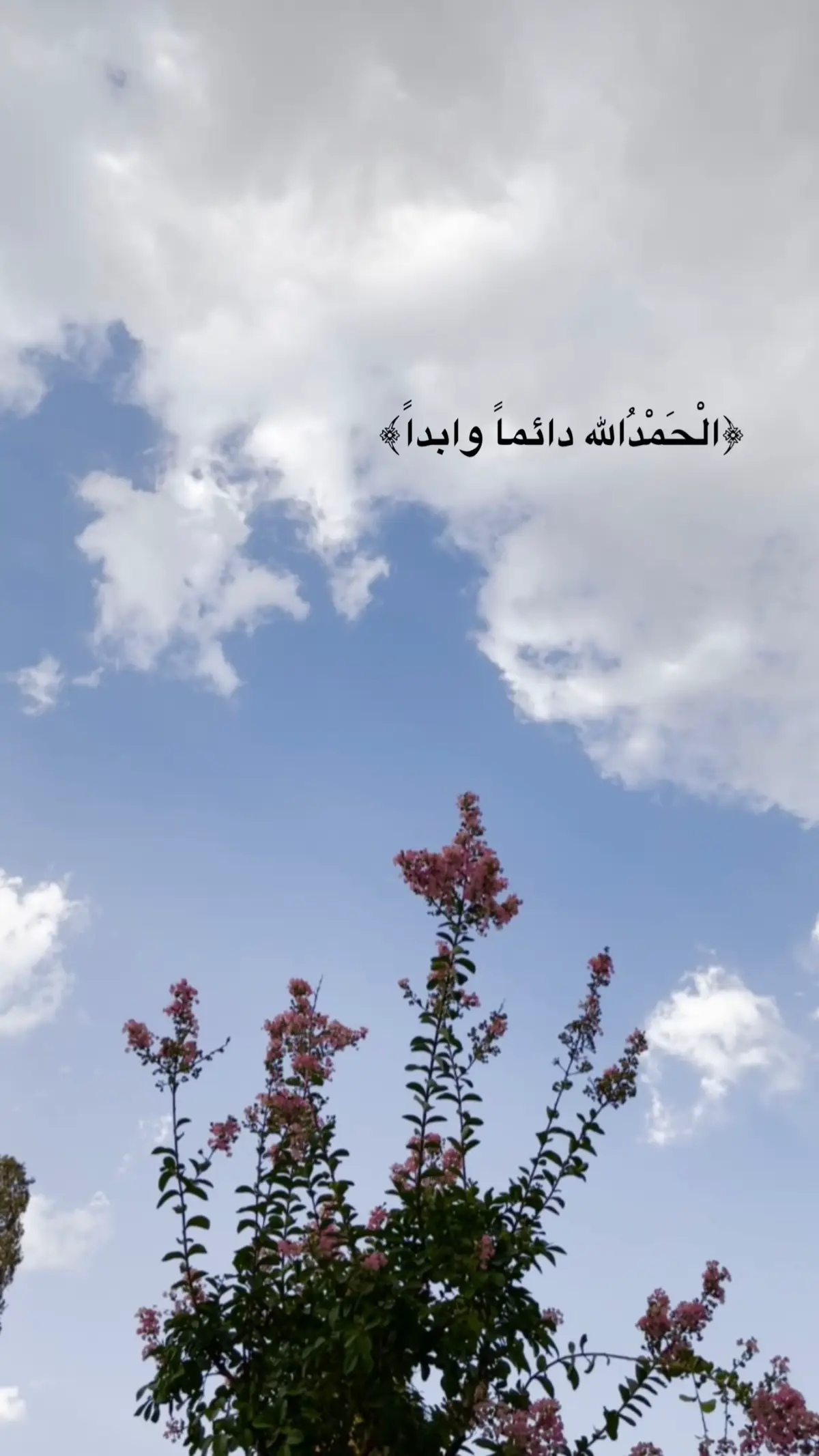 #الحمدلله_دائماً_وابداً 
