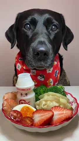 好久沒喝奶了 #拉不拉 #吃播 #狗 #dog 