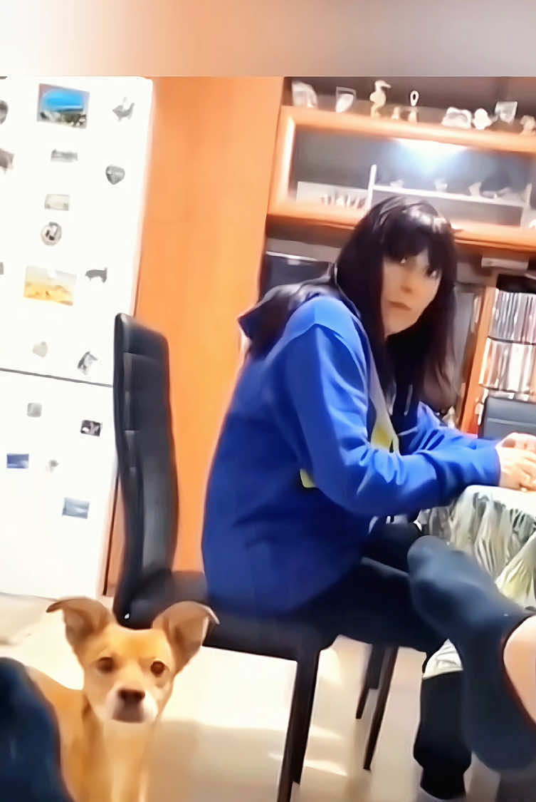Try not to laugh 😂 #pet #cat #dog #cute #animals #foryou #typ #funnytiktok #funny #funnypets #funnyvideos 
