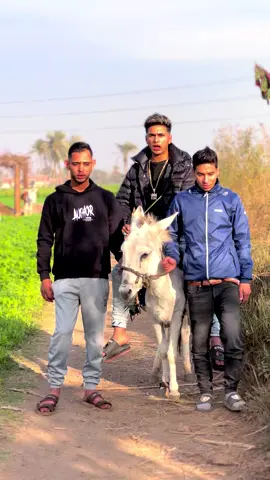 #balya 😂😂موت