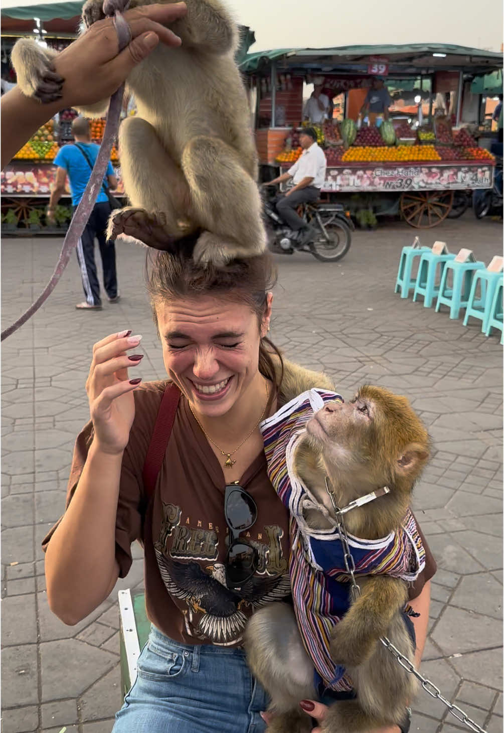 Mentre passeggi per la piazza di Jemaa el-Fnaa… #marocco #marrakech #scimmia #attaccoscimmia #desert 