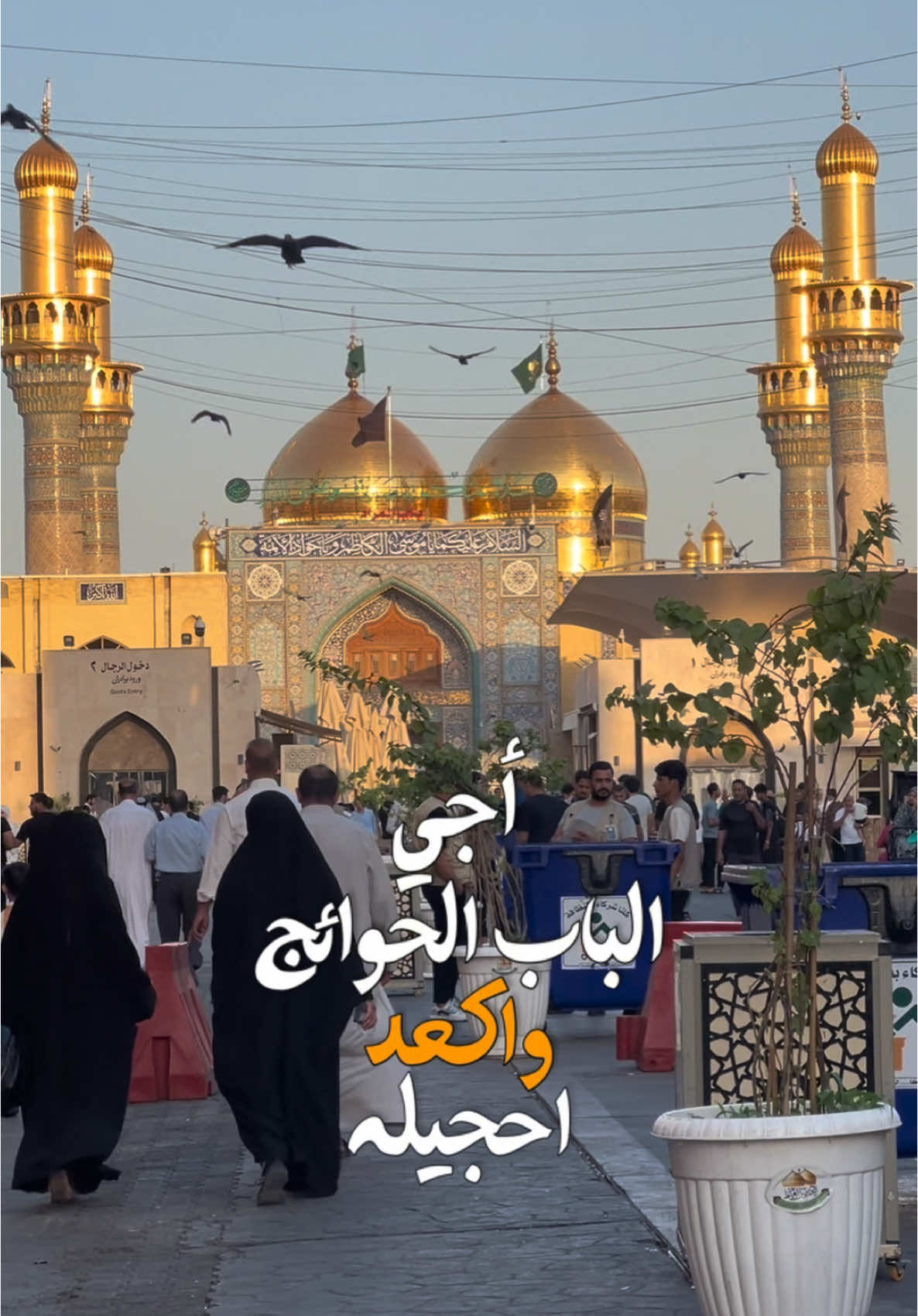 وقبر ببغداد لنفس زكية 🕊️ #CapCut#313 #🏴 #باب_الحوائج #باب_الحوائج #موسى_الكاظم #العراق #مأجورين #وفاة 