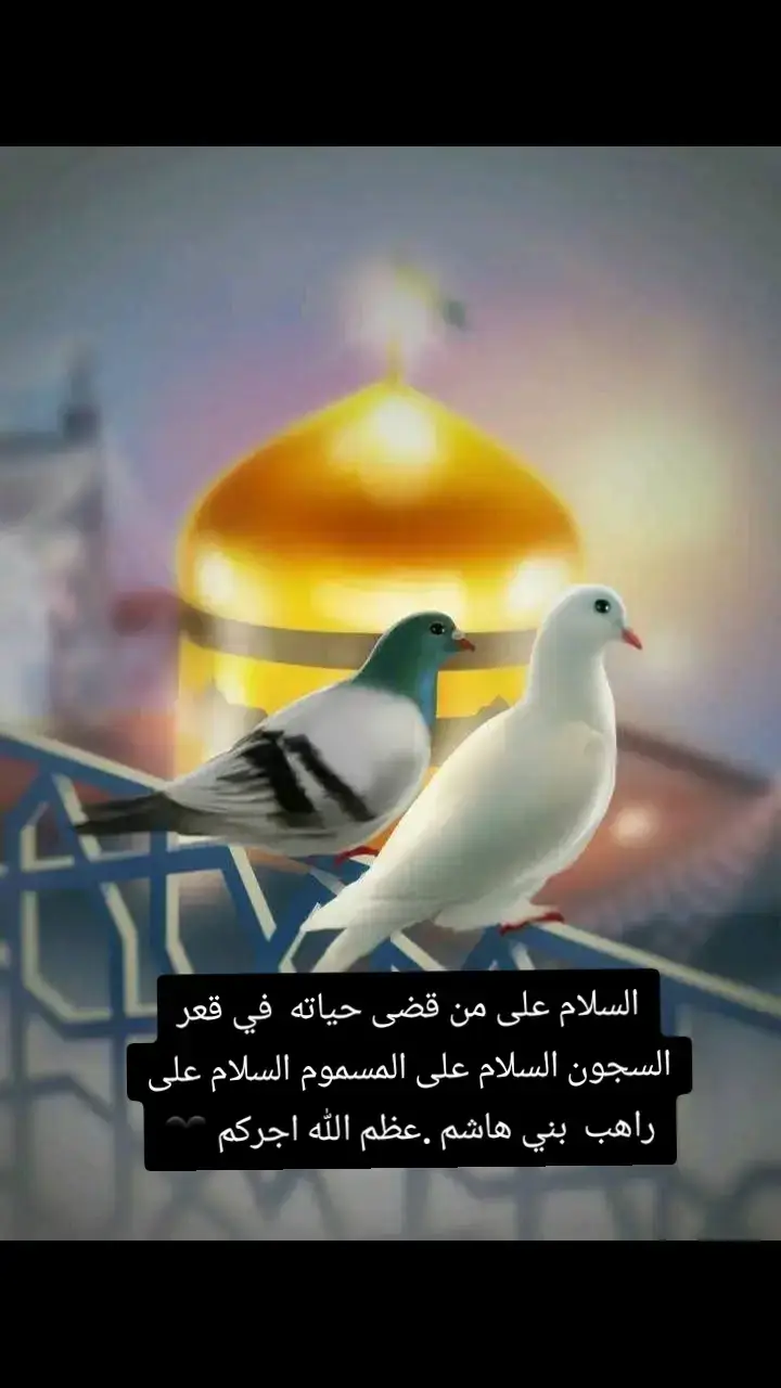 #ياكاظم #الغيظ#لقطه_فائقه_الثبات #اكسبلووووور #متابعه #المجر_الكبير #العراق #ميسان 
